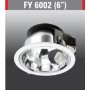 FY6002