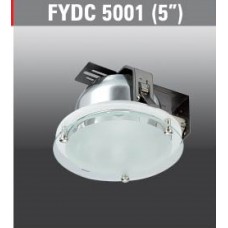 FYDC5001