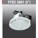 FYDC5001