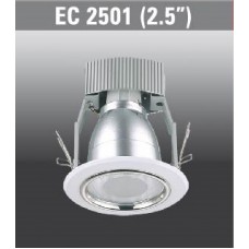 EC2501