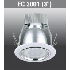 EC3001