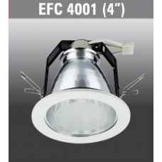EFC4001