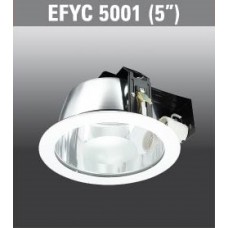 EFYC5001