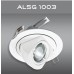 ALSG1003