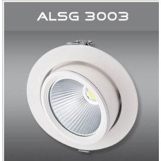 ALSG3003