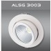ALSG3003