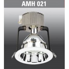 AMH021