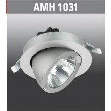 AMH1031