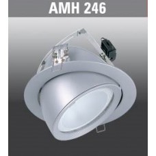 AMH246
