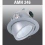 AMH246