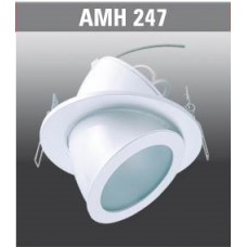 AMH247