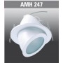 AMH247