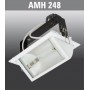 AMH248