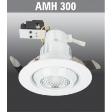 AMH302