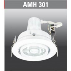 AMH301