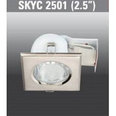 SKYC2501