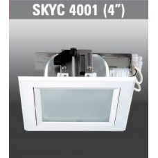SKYC4001