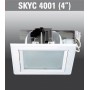 SKYC4001