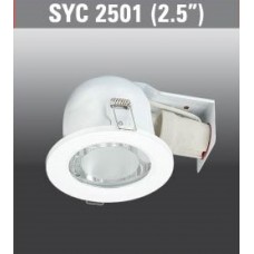 SYC2501