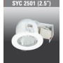 SYC2501