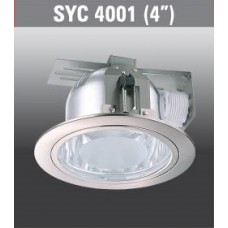 SYC4001