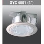 SYC4001