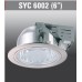 SYC6002